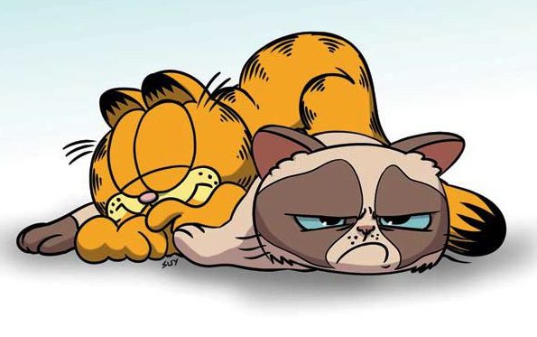 Grumpy Cat/Garfield #1 REVIEW