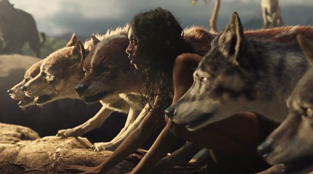 Netflix Acquires Right’s To Warner Brothers ‘Mowgli’