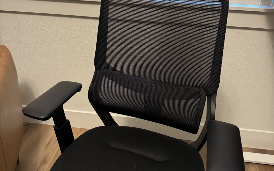 Flexispot C5 Ergo Chair – For Your Office