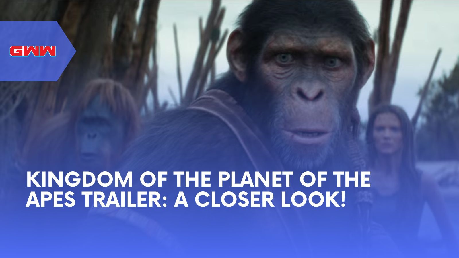 Kingdom of Planet of the Apes Trailer: A Closer Look!