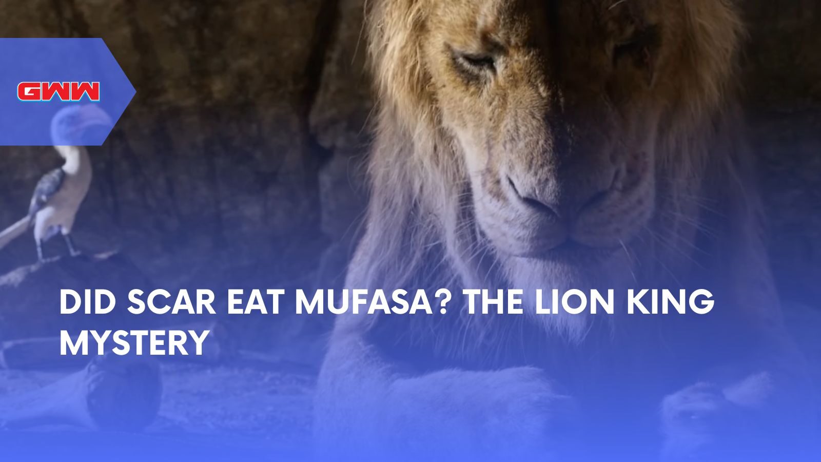 Did Scar Eat Mufasa? The Lion King Mystery