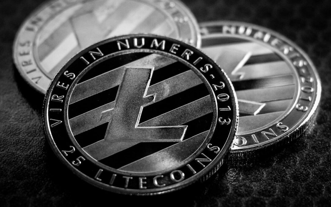 Top 5 Use Cases of Litecoin in 2024