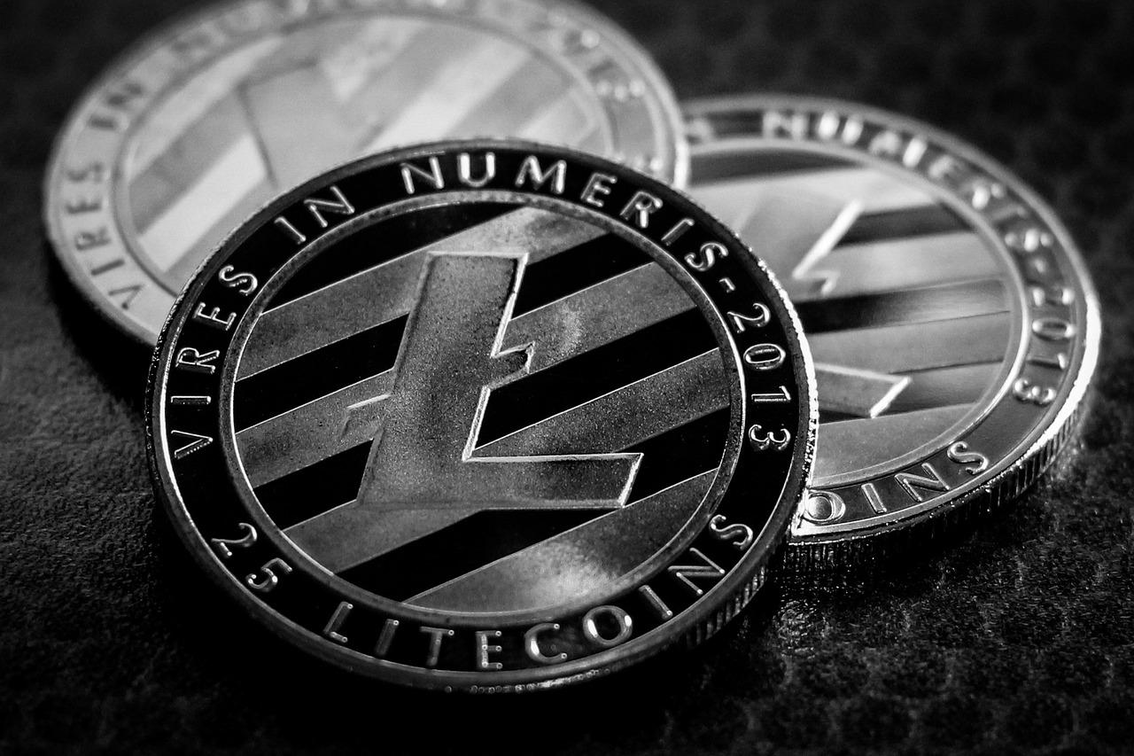 Free Litecoin Business photo and picture