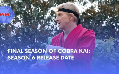 Cobra Kai Season 6 Release Date Announced: Final Season Details