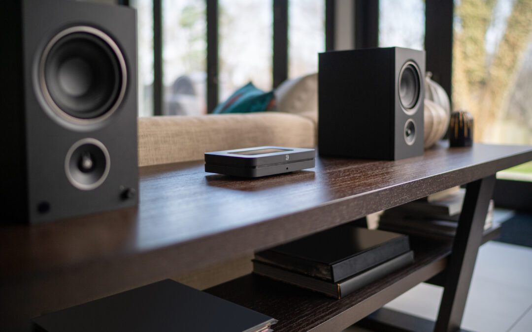 Diving into Audio: Bluesound NODE Paired with AM5 Speakers