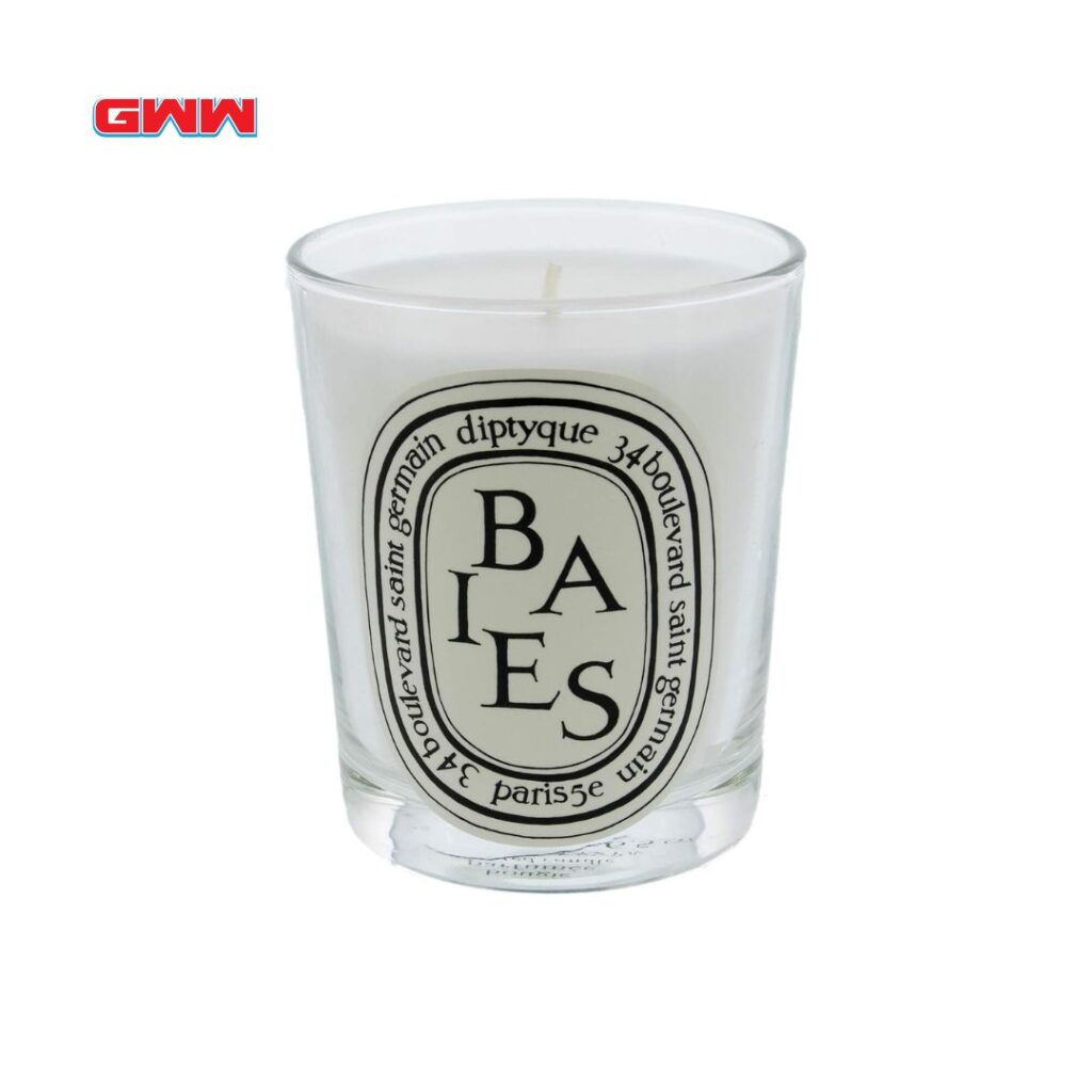 Diptyque Baies Scented Candle