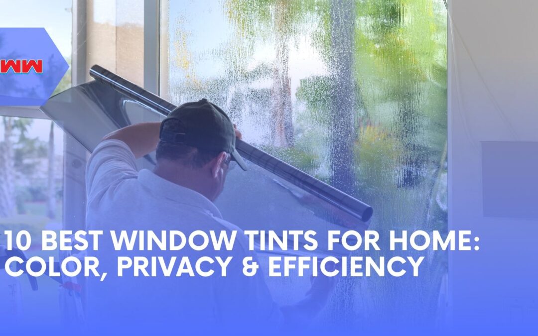 10 Best Color Tint for Windows for Home: Enhance Comfort & Save Money