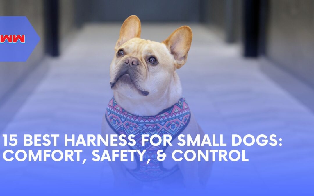 15 Best Harnesses for Small Dogs: Top Picks for Comfort & Control