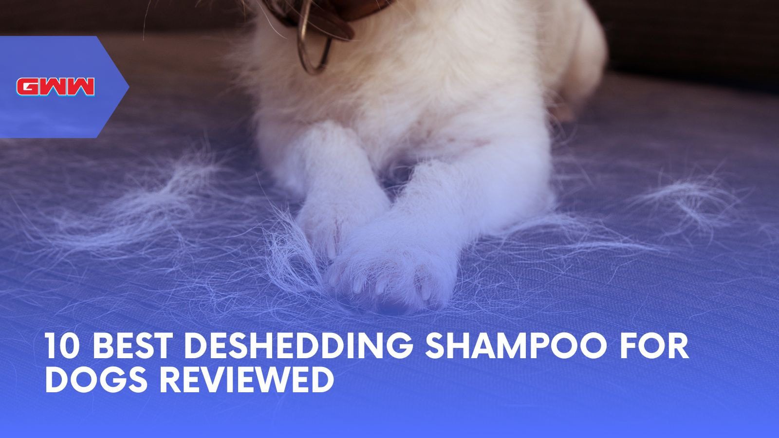 10 Best Deshedding Shampoo for Dogs Reviewed