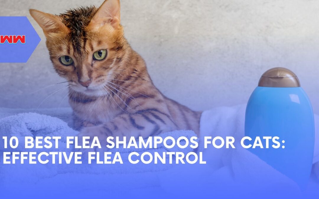 10 Best Flea Shampoo for Cats: Top Picks for Flea Control