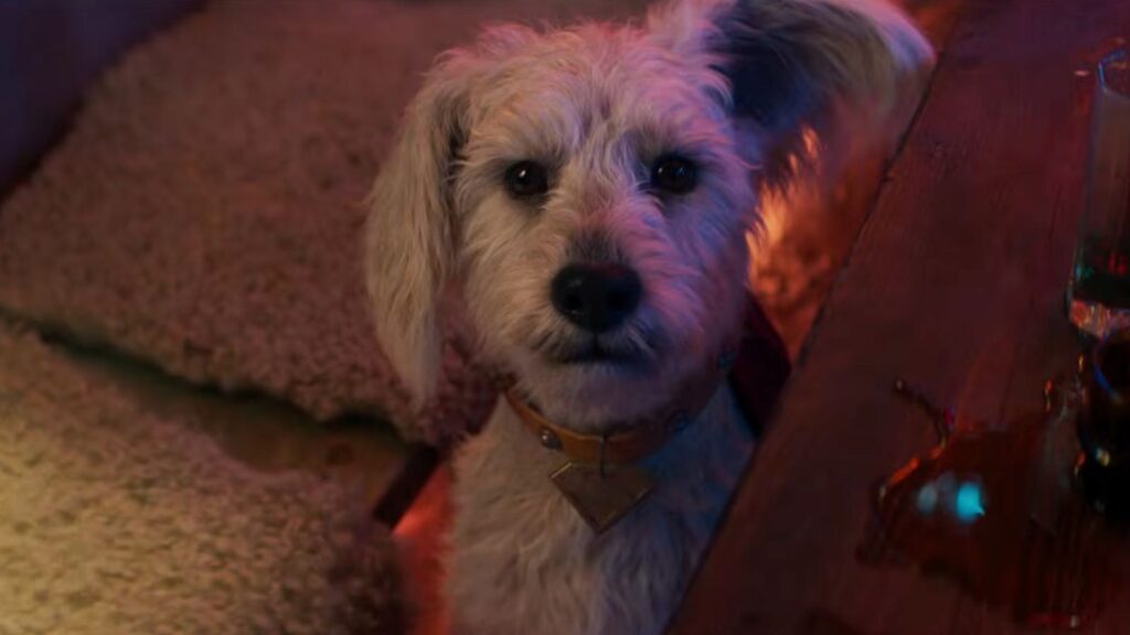 Krypto the Superdog in Supergirl